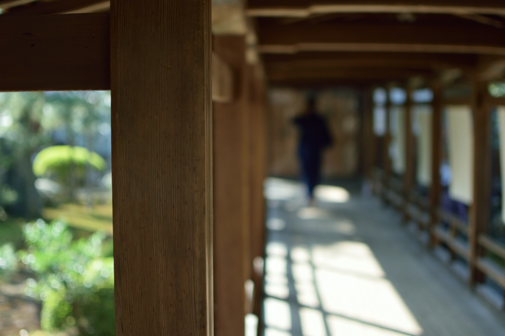 大覚寺