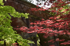 時期はずれの紅葉と水路閣