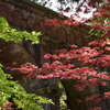 時期はずれの紅葉と水路閣