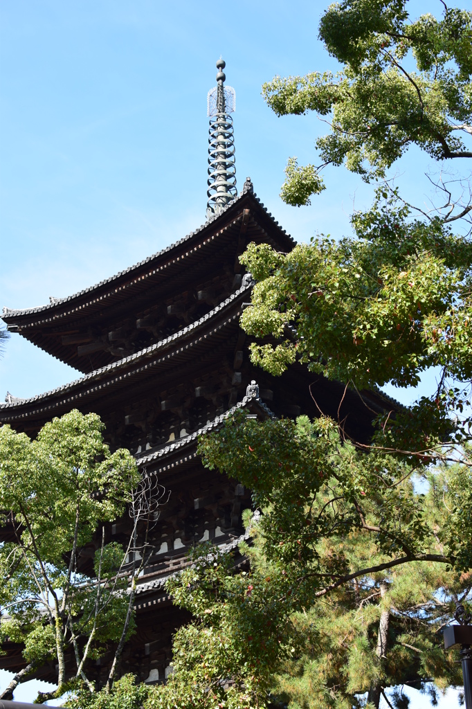 興福寺・五重塔