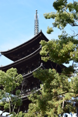 興福寺・五重塔