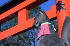 伏見稲荷神社の鳥居前です