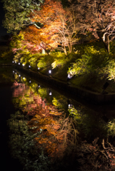 写し鏡な紅葉