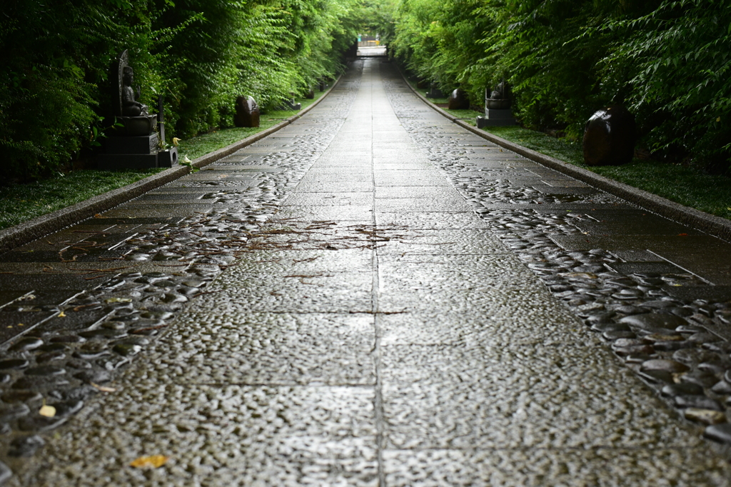 梅雨