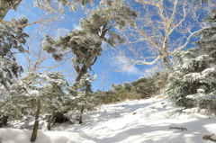 突き抜ける青空