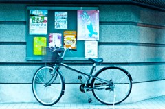 掲示板と自転車