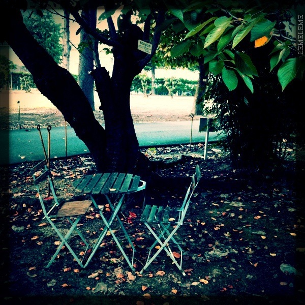 The one day of autumn