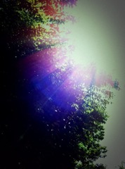 まぶしい春の陽