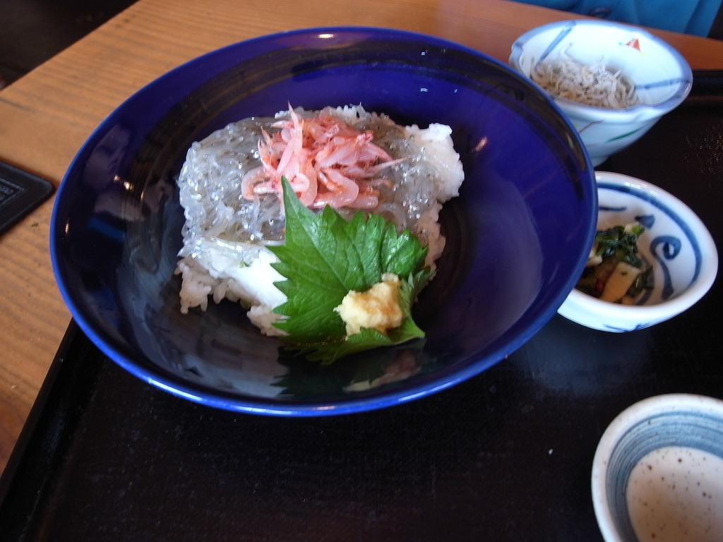 生シラス丼