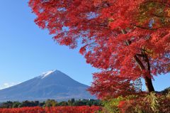 週末の富士山（新作323）