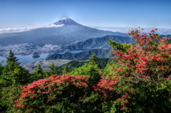 平日の富士山34