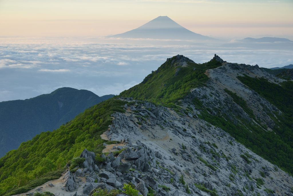 週末の富士山（新作690）