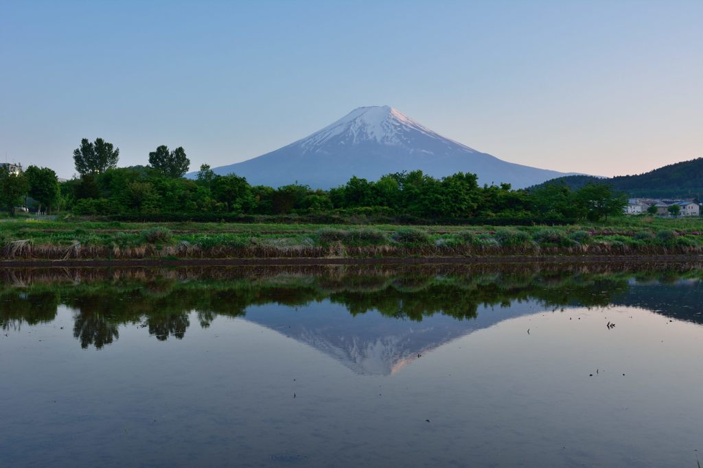 週末の富士山（新作671）