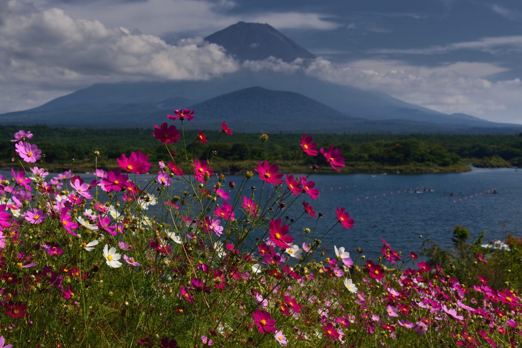 週末の富士山（新作26）