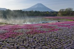週末の富士山（新作1186）