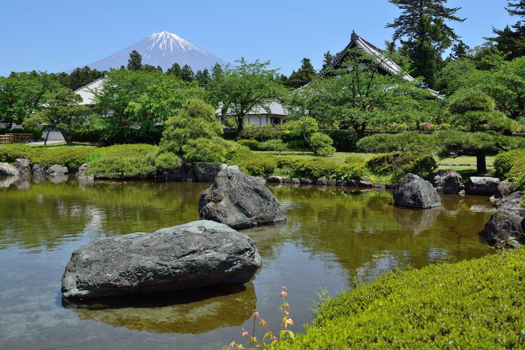 週末の富士山（新作870）