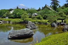 週末の富士山（新作870）