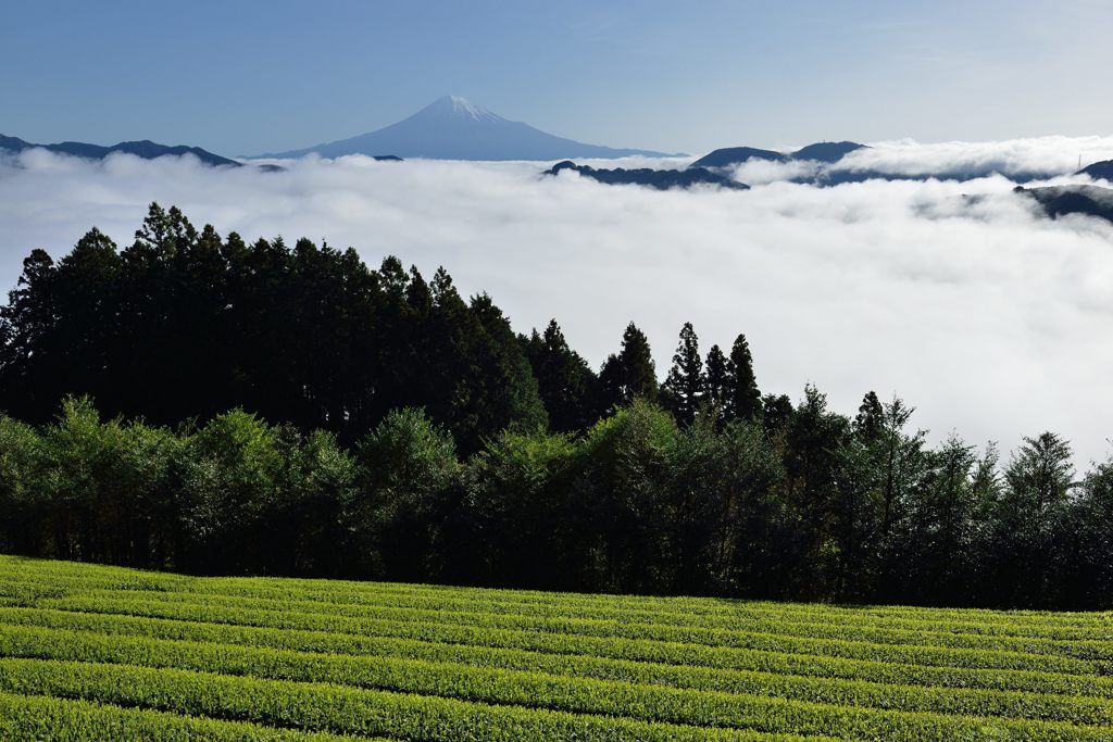 平日の富士山20
