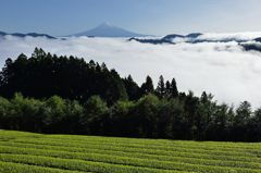 平日の富士山20