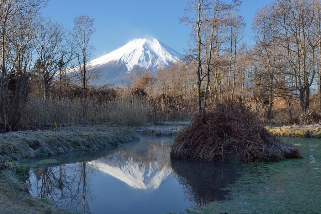 平日の富士山599