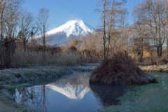 平日の富士山599