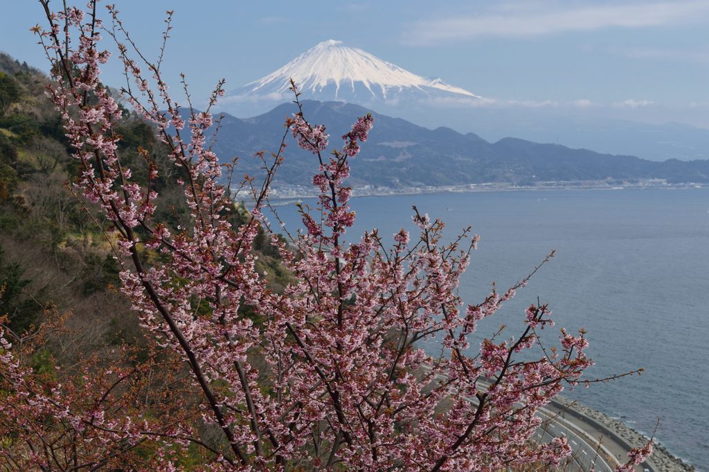週末の富士山（新作164）