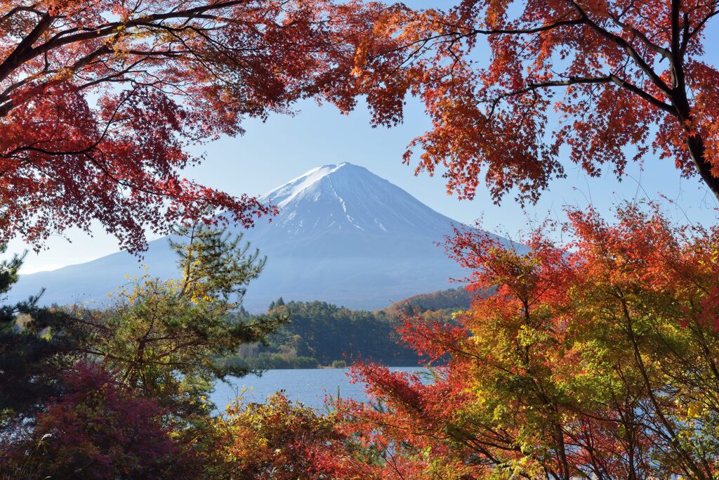 平日の富士山914