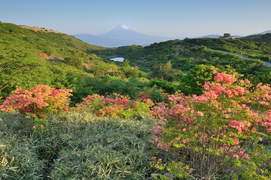平日の富士山726