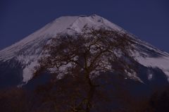 週末の富士山（新作352）
