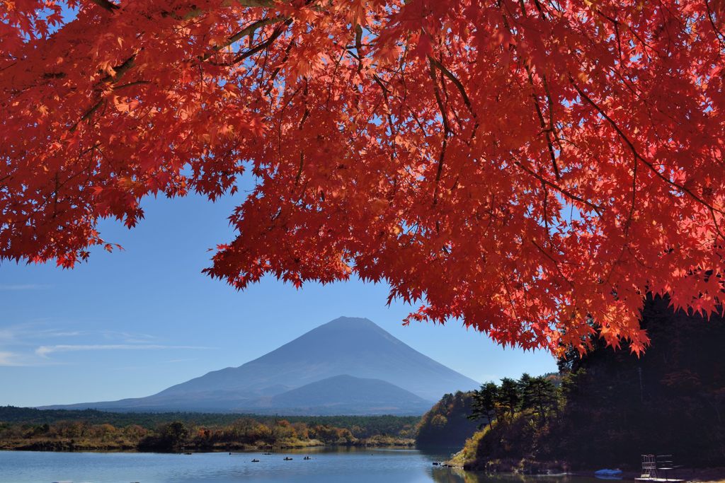 平日の富士山423