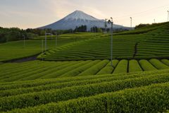 週末の富士山（新作1164）