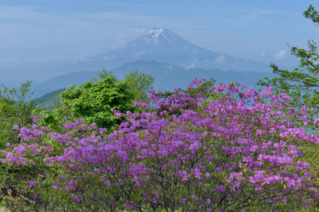 平日の富士山734