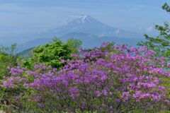 平日の富士山734