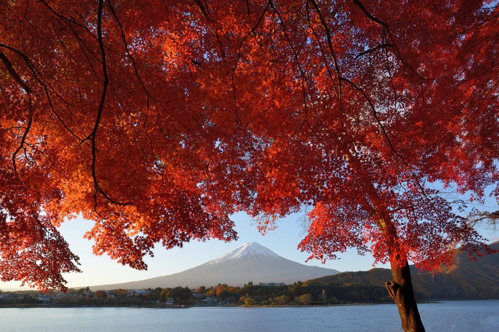 平日の富士山151