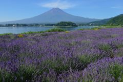 平日の富士山58