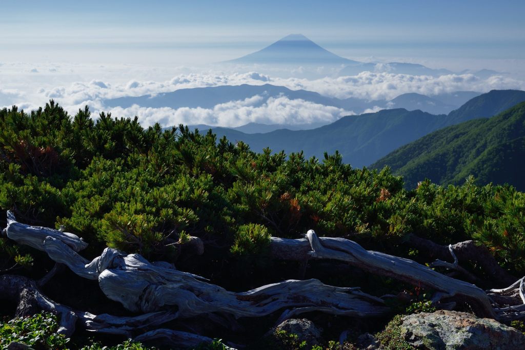 週末の富士山（新作971）