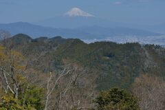 平日の富士山1056