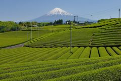 週末の富士山（新作618）
