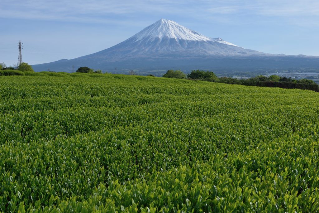 週末の富士山（新作1167）