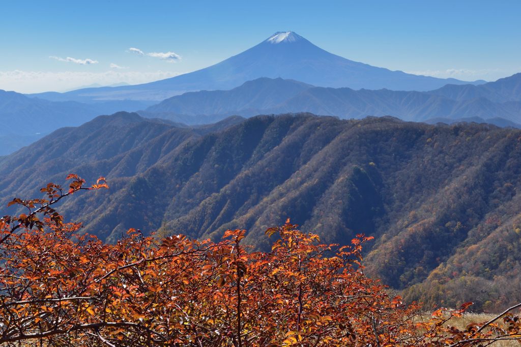 週末の富士山（新作319）