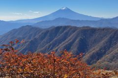週末の富士山（新作319）