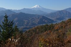 平日の富士山957