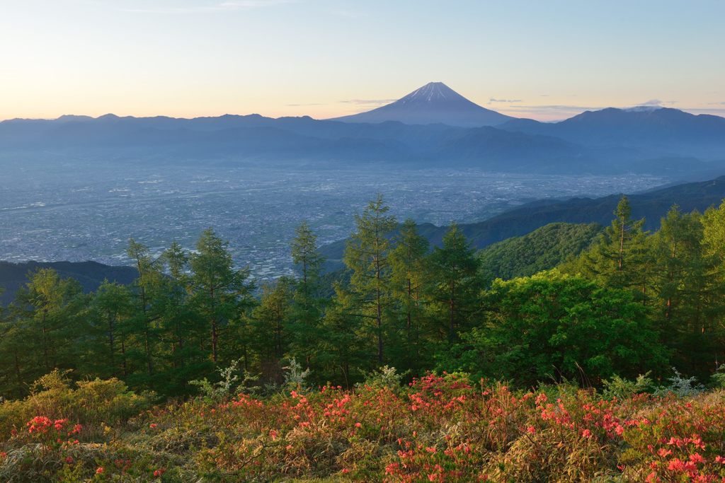 週末の富士山（新作231）