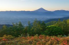 週末の富士山（新作231）
