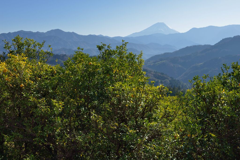 平日の富士山978