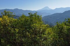 平日の富士山978
