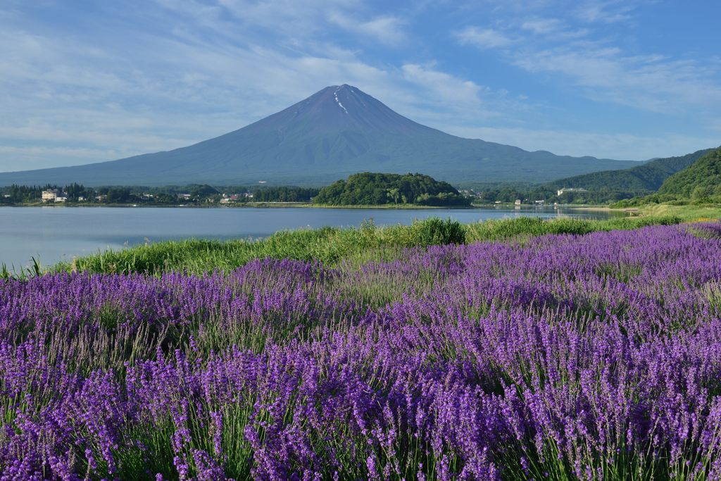 平日の富士山47