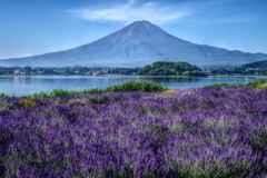 平日の富士山62