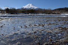 週末の富士山（新作1213）