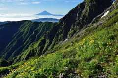 週末の富士山（新作264）
